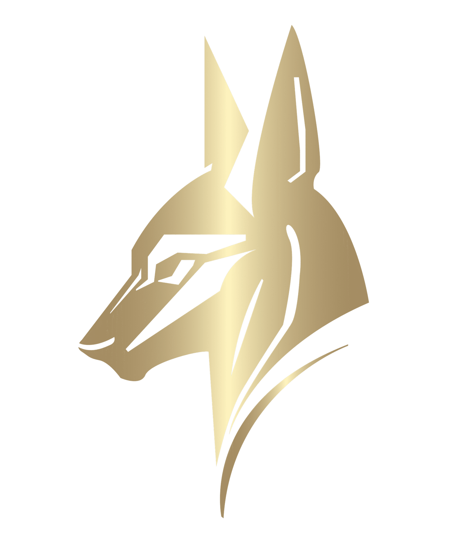 Agencia de Diseño Web y SEO My Mafia Agency Logo